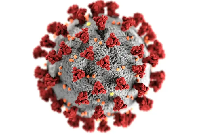 Désinfection virus microbes surfaces